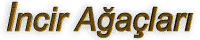 incirb.gif (2245 bytes)