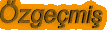 ozgecmis.gif (1193 bytes)