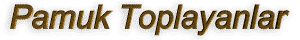pamukb.gif (2984 bytes)